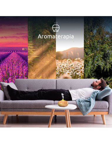 Smart Wi-Fi Aroma Diffuser LED